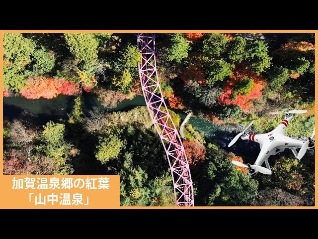 加賀温泉郷の紅葉 山中温泉 「鶴仙峡」