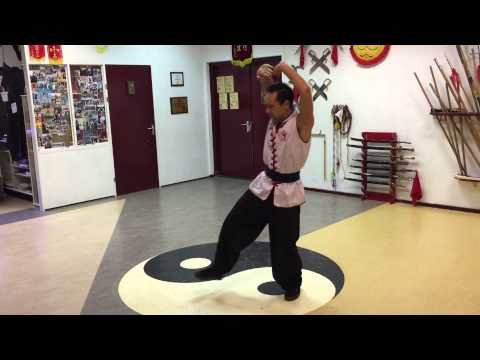 Hung Sing Choy Li Fut - combination technique 1