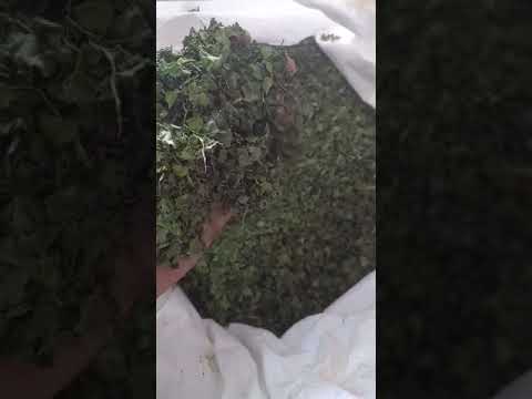 Dry kasuri methi dry fenugreek leaves, packaging size: 10 kg