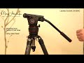 Leofoto Summit LM-364C