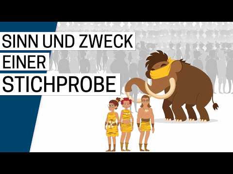 Wozu dient eine Stichprobe?