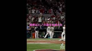 周東はピノの速さを超えた❤️#tiktok #tiktokvideo #wbc #short#shorts #周東佑京 #村上