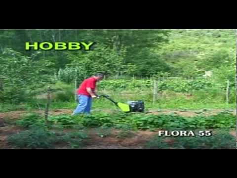 Flora 55, TPS LABINPROGRES