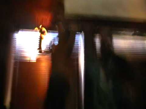 á MeðAn JöRðiN hún sNýsT.. GísLi pÁLmi & MaRLoN PoLLocK 2012