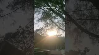 Download lagu Mergawe -kerjo sing semangat mboten pareng sambat#shortvideo #mergawe #shortsfeed #short #shortvideo mp3