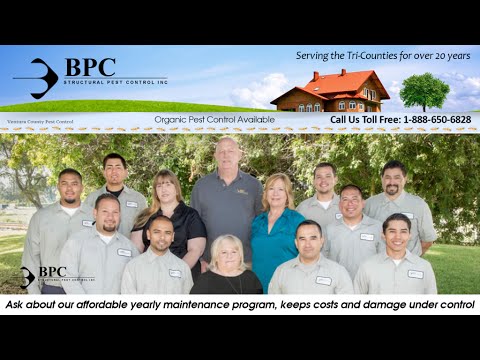 BPC Pest Control