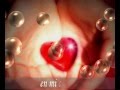 CELINE DION "My heart will go on "-TITANIC ...