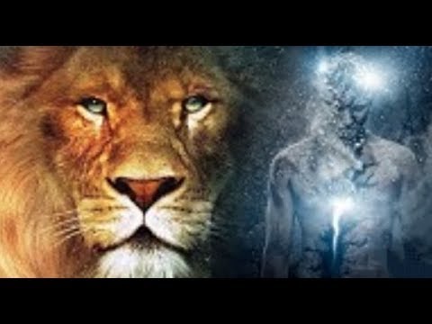 ¿Können Wir Mit TIEREN Telepathisch Kommunizieren?