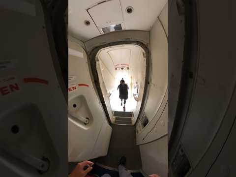 POV Skydiving out of a jet