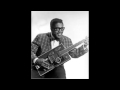 Bo Diddley - You Don't Love Me (You Don't Care)