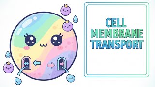 Cell Membrane Transport