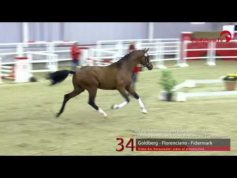 34 Junghengst v. Goldberg - Florenciano
