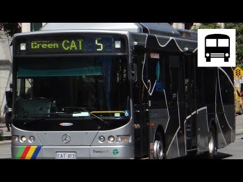 Mercedes-Benz OC500LE CNG (11.5m) - Perth Green CAT Bus (Part Two)