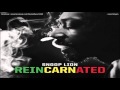 Snoop Lion - Tired Of Running (Feat. Akon) CDQ