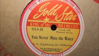 L. C. (Lightning Jr) Williams - You Never Miss The Water (Gold Star 614)
