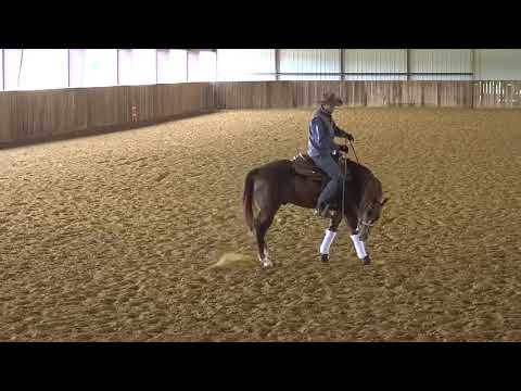 The Foundation - Introducing The Spin