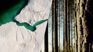 Mapping the World's Forests in the Face of Climate Change