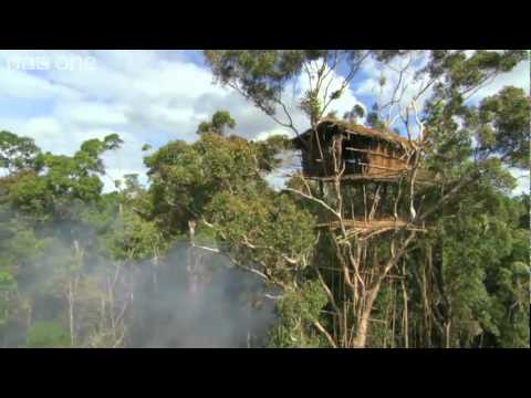 Planeta Humano (BBC)