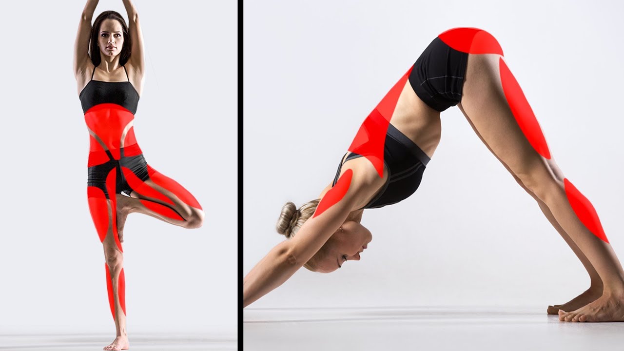 15 Poses De Ioga Que Podem Mudar Seu Corpo