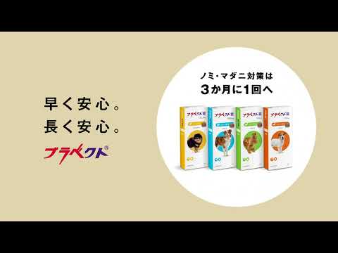 ブラベクト WEBCM「キミのためにできること」篇 15秒ver_ブラベクト