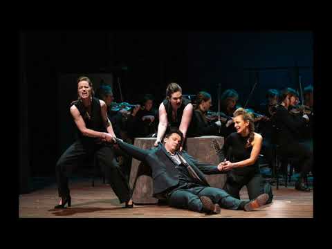 David Kerber als Tamino - Zu Hilfe! Zu Hilfe! - Die Zauberflöte - W.A. Mozart