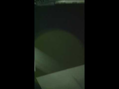 Pegasus-MotionX, Philippe Kahn, Pacific Cup 2010 - Night encounters: Dolphins, Whales and ...