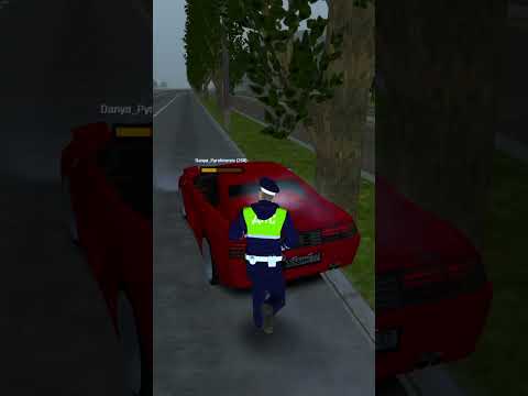 КОНСОЛЬ КИКНУЛА ВО ВРЕМЯ ПОГОНИ! | БУДНИ ДПС | MTA Province Demo