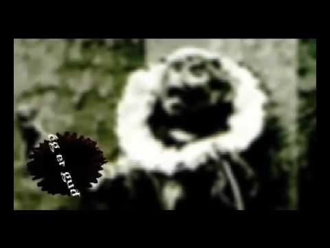 Skytturnar-lífið er fangelsi.mov