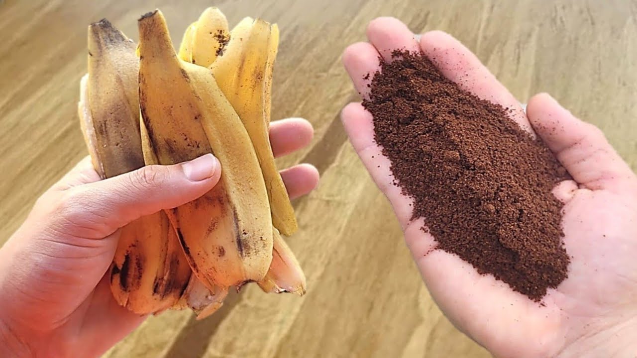 É só misturar BANANA com CAFÉ e não precisa mais gastar no mercado!