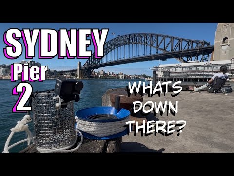 Dropping Camera UNDERWATER At Pier 2 SYDNEY