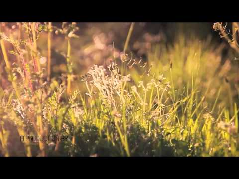 Tiësto & Nari & Milani vs Delayers Carnage & Borgore - Move To The Incredible Rhythm  Greg Monsterz