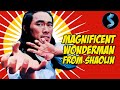 Magnificent Wonderman From Shaolin Full Kung Fu Action Movie Casanova Wong Godfrey Ho