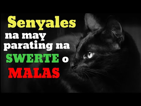 SENYALES NA MAY PARATING NA SWERTE O MALAS SA BAHAY MO gamit ang PUSA