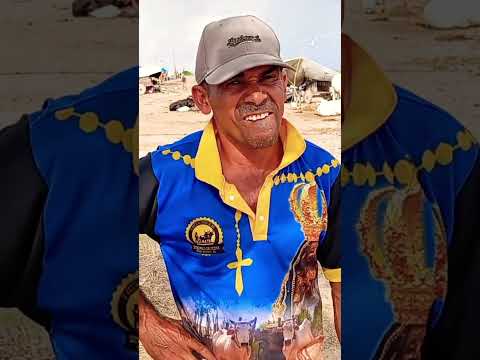 notícias festa de carro de boi maravilha Al