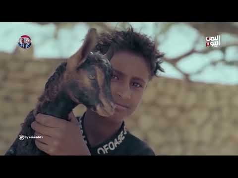 ENGLISH NEWS  07:00  29 September  2023