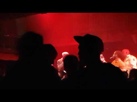 Toasting the mic Tippa irie Ragga Twins horseman