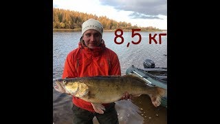 Место для рыбалки на рыбинском водохранилище