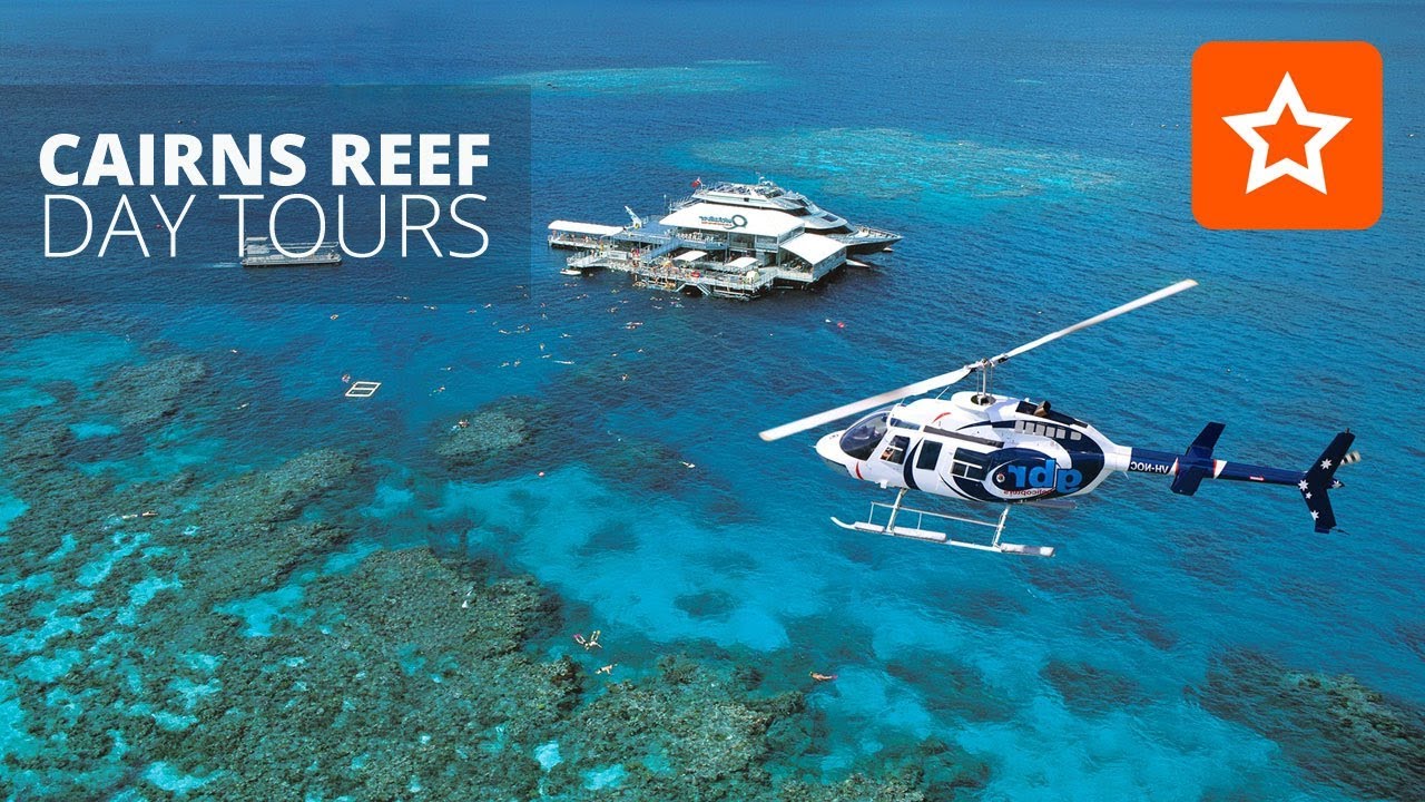 reef tours