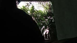 @live#live#ngopi_tibaTibaGerimisHujanRintikRintikRintik✅☕☕🌥🌥🌦🌦🌦🌦🌦🌦🌦🌦#siang#kamis02oktober2025✅☕☕🌥🌥🌦🌦