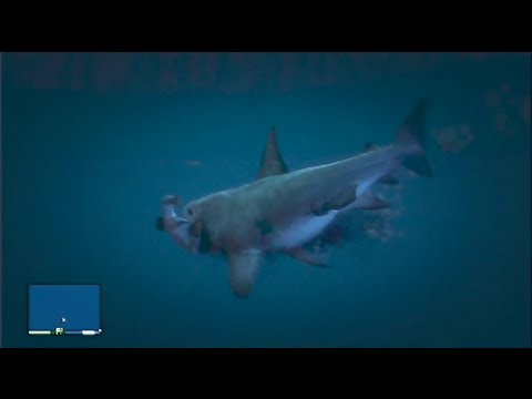 A F%#*!NG SHARK ATE ME! GTA V #07