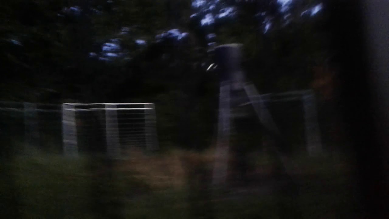 Texas Wild Hog Control the Loan Star Trapping Experts