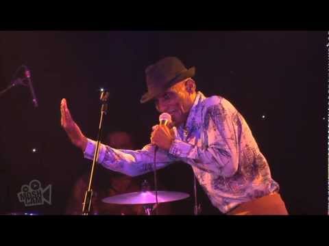 The Jolly Boys - Blue Monday (New Order) (Live at Sydney Festival) | Moshcam