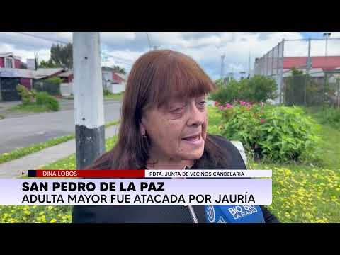 Brutal ataque en San Pedro de la Paz: Jauría hiere de gravedad a adulta mayor