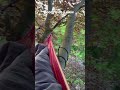 Woke up in a hammock 50 ft high in a tree
