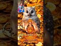 Sankha Bajiya Ma Ke Ghore Anechi L Riya Das L Laxmi Puja Song L Ma Laxmi