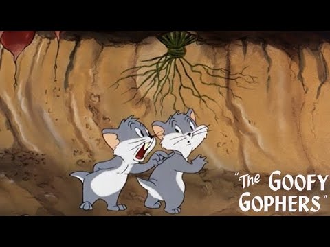 The Goofy Gophers (1947) 