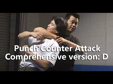 Punch Counter Attack Comprehensive version: D #foryou#SelfDefense#Gongfu#Qinna