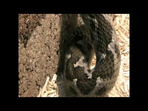 YouTube Video ilknBxjpIw4