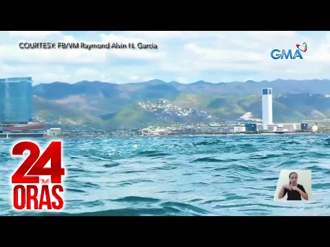 Isang klase ng sardinas na kung tawagi'y mangsi, nagsulputan sa Cebu 24 Oras