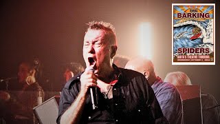 The Barking Spiders (Cold Chisel) - &quot;Mr Crown Prosecutor (live)&quot;